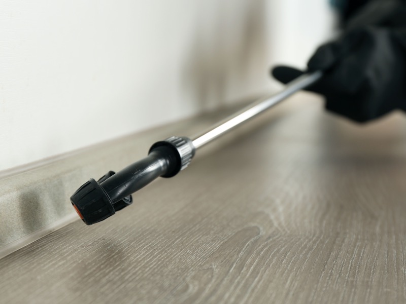 Rattenbekämpfung Service